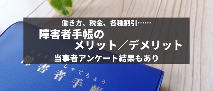 身体 販売 障害 手帳 メリット デメリット