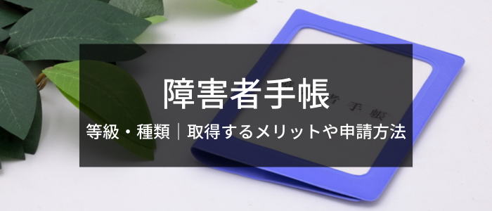 障害者手帳の等級・種類｜取得するメリットや申請方法も紹介 | 障害者転職・就職のDI エージェント｜求人選びから面接対策、在宅ワーク支援も徹底サポート。充実の情報サイト